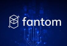 Reasons Why Fantom is a Threat to Leading Cryptos Fantom is a new kind of cryptocurrency that was created to address the needs of people who have been ignored by the bitcoins digital. The thing about cryptocurrencies is that they're designed to be decentralized and anonymous—but some groups of users have not fared well or been given enough attention in the community. Fantom has been built to provide a solution for this problem by creating a currency that's focused on the needs of women. Fantom was started as an idea by a group of female developers, and it is believed it's going to change the face of the bitcoin era. Fantom is an innovative blockchain platform that aims to provide users with fast, secure, and low-cost payments by leveraging the potential of transferable digital assets. Fantom's unique approach provides users with a variety of ways to transfer their assets without relying on trust or fees. In particular, Fantom's algorithm is capable of achieving high transaction speeds through processing multiple transactions in a single block, while also providing users with security through the use of smart contracts. Through these features, Fantom will become the first blockchain to offer both high transaction speeds and security at low cost. Reasons why Fantom is the talk of town Given below are some reasons that make Fantom a much more favourable crypto to invest in for a secure and favourable investment system: Fantom has an ecologically friendly ecosystem. Fantom uses a unique Directed Acyclic Graph (DAG) architecture that allows the network to run without miners or the power-heavy proof-of-work consensus algorithms that have become so popular in the crypto space. This equates to a much higher efficiency and low cost of operations, which means that transactions are not only faster but also much cheaper than other cryptocurrencies. This structure lends itself to being much more environmentally friendly than crypto systems based on the traditional blockchains used by Bitcoin and other similar currencies. Another reason why fantom is a threat to leading cryptos is because it has on chain administration. The DAG structure at the center of Fantom’s Lachesis Protocol allows for on-chain administration and governance, which helps keep things simple for users and investors alike. Instead of requiring them to create an account with an exchange or third party before making any trades, all transactions are performed directly on the blockchain. This creates a more user-friendly experience by eliminating many of the hassles associated with traditional cryptocurrency exchanges such as user verification requirements, deposit fees, withdrawal fees and delays due to order processing times. The DAG structure of Fantom's blockchain allows for administration that can better exploit the real-time capabilities of the system. DAGs lend themselves well to smart contracts, allowing businesses to create specific contracts with customers that are executed automatically by the Fantom system. The Fantom system is designed to scale efficiently and operate under high-load transaction volumes while keeping transaction costs low. It is also made possible by advances in hardware technology that allow it to run much faster than Bitcoin and other popular cryptocurrencies. Another way in which Fantom is beneficial over some virtual currencies comes in the form of on-chain governance. This allows the community to have direct involvement in protocol upgrades and changes by voting on proposals instead of relying on developers to do so. This creates a more democratic process and allows for more flexibility with change than traditional blockchains allow for because it opens up decision making beyond just the normal functioning. Final takeaway Fantom has the potential to be a serious threat to all leading cryptos. Not only is its consensus algorithm ecologically friendly, but it also features on-chain governance. This means that investors will have the ability to vote on important issues regarding the future of the platform, ensuring that it remains a reliable investment opportunity for years to come. Moreover, Fantom is gaining attention from a wide range of investors, many of whom are attracted by its unique architecture. Thus, Fantom is amongst the leading crypto pool which has a wide user base owing to the large number of investors dipping their toes into the world of digital currencies.