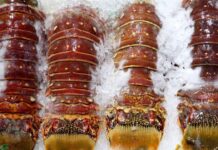 How-to-Buy-The-Best-Frozen-Lobster-in-Singapore