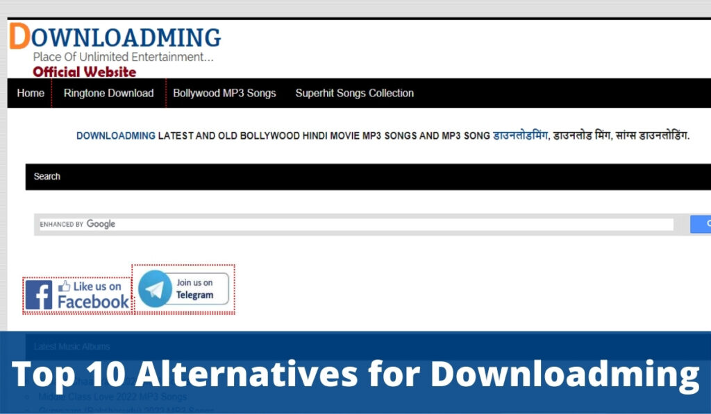 Top 10 Alternatives for Downloadming